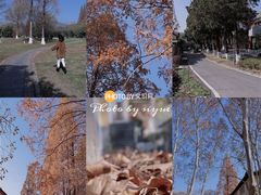 -T80科技文化国际社区-停车场