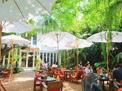 -Fern Forest Cafe