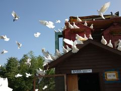 -永定河休闲森林公园