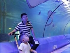 -重庆欢乐海底世界