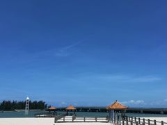 -东郊椰林