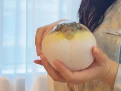 -肆月河豚·淮扬菜·湘菜(华天店)
