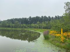 -东郊湿地公园