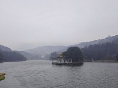 -庐山风景区花径公园