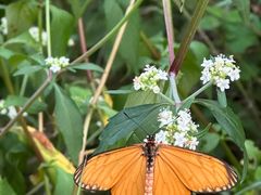 -东天目山风景区