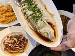 -船歌·鱼水饺青岛菜(金狮广场店)