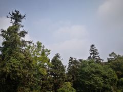 -广州市帽峰山景区