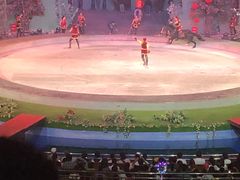 -灵玲国际马戏城