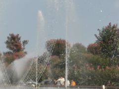 -南通洲际绿博园