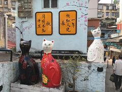 -猫咪博物馆(顶澳仔猫街店)