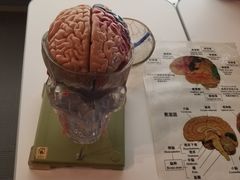 -日本科学未来馆
