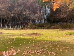 -东华大学(松江校区)