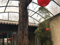 -zarah(鼓楼店)