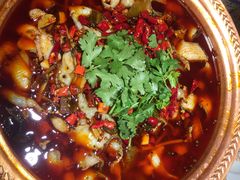 -沪小二炭火蛙锅(淮海中路美食不夜城店)