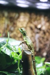 -酷嗒动物文化乐园(cutezoo西溪乐天城店)