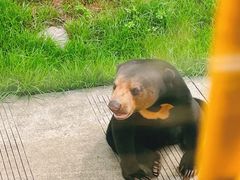-上海野生动物园