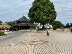 -广东圆玄道观