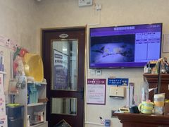 -宠爱国际动物医院·疑难骨科·心肾内科·皮肤科(太阳宫店)