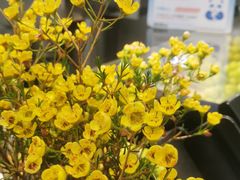 -茶百道(宜兴万达金街店)