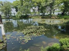 -金银湖国家城市湿地公园