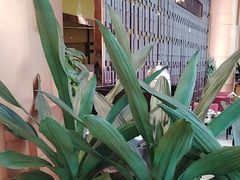 -广州建国酒店·君豪西餐自助餐厅