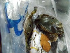 -四川小胡子海鲜(丁村万人海鲜广场店)