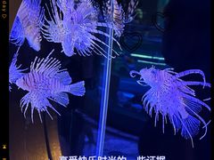 -哈尔滨极地公园