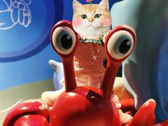 -海合安武汉极地海洋公园