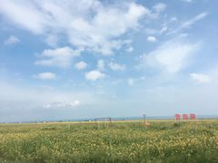 -青海湖国家重点风景名胜区