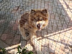 -武汉紫薇都市田园