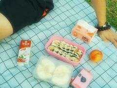 -火炉山森林公园