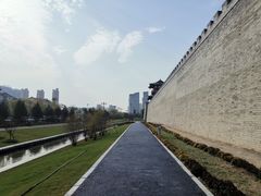 -洛阳市隋唐城遗址植物园