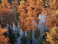 -白鹭湾湿地公园