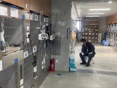 -北京派仕佳德动物医院·超导核磁·CT·神经科·骨科·内外科·急重症管理中心