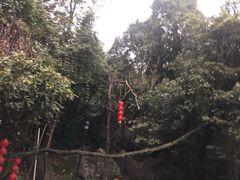 -杭州西湖风景名胜区-三生石