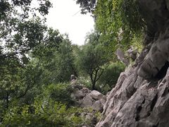 -墅园