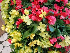 -PAGODA百果园(深圳天琴阁店)