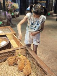 -酷嗒动物文化乐园(cutezoo西溪乐天城店)