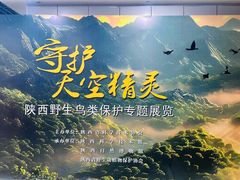 -陕西科学技术馆