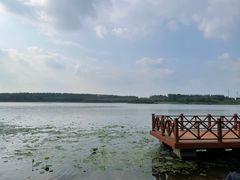 -丁香湖公园