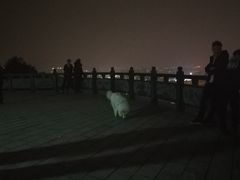-峙山公园