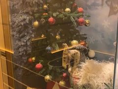 -星聚会KTV(合生汇黑金店)