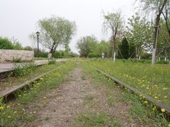 -永定河休闲森林公园