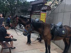 -南楚古都