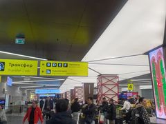 -谢列梅捷沃国际机场