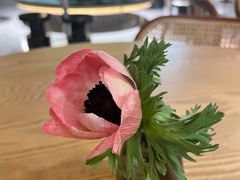 -gaga(深圳京基KKMALL店)