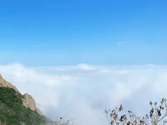 -白草畔自然风景区