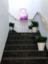-YESIDO椰岛美容