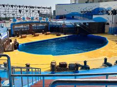 -海合安青岛极地海洋公园