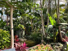 -北京植物园-展览温室